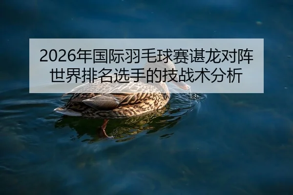 2026年国际羽毛球赛谌龙对阵世界排名选手的技战术分析