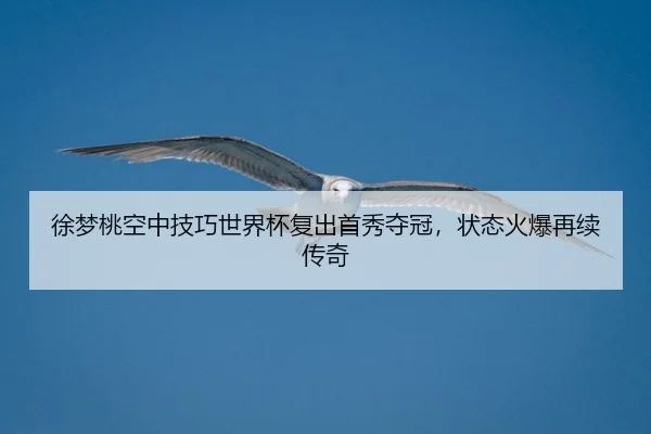 xu-meng-tao-kong-zhong-ji-qiao-shi-jie-bei-fu-chu-shou-xiu-duo-guan-zhuang-tai-huo-bao-zai-xu-chuan-qi-2-482.jpg